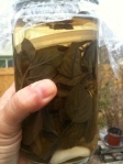 herb vinegar in process
